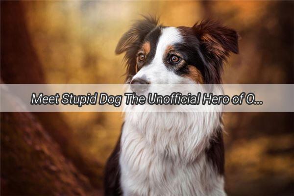 Meet Stupid Dog The Unofficial Hero of Our Hilarious Household